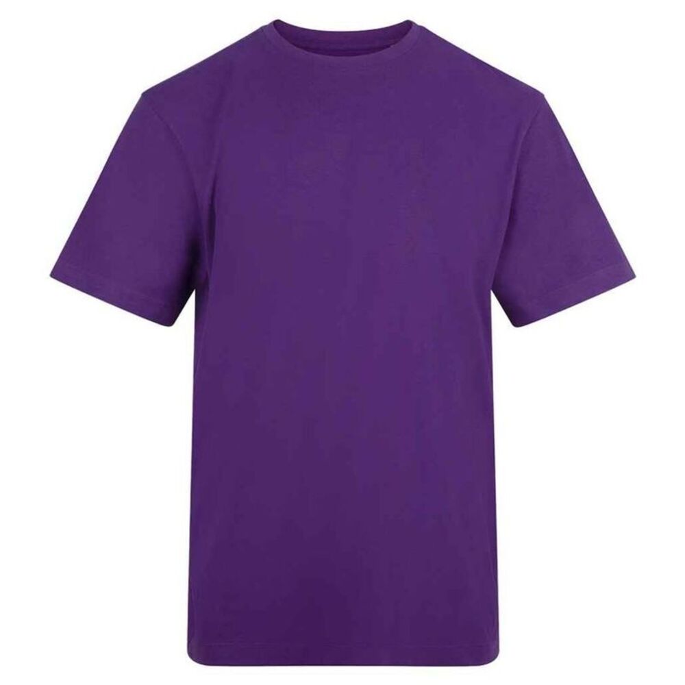 Awdis Unisex Adult T-Shirt / Purple